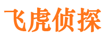 衡水捉小三公司